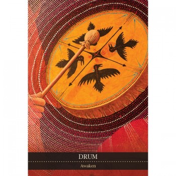 Kosmetinis defektas Shamanic Medicine Oracle kortos Blue Angel